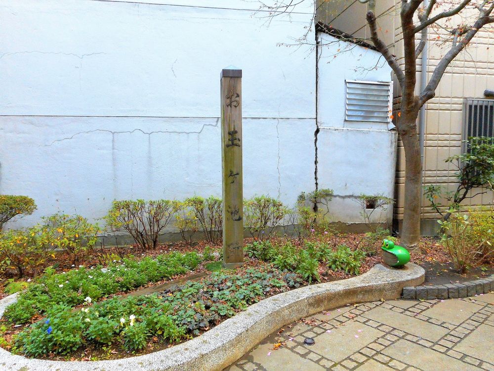お玉ヶ池跡の画像 - 5枚目