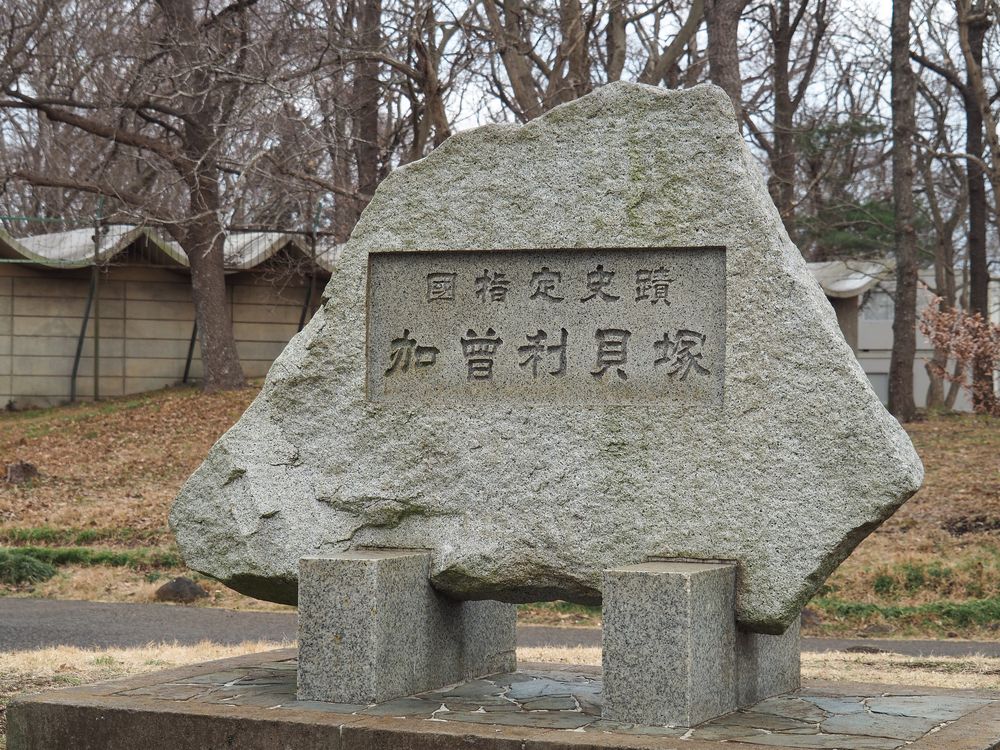 加曽利貝塚の画像 - 4枚目