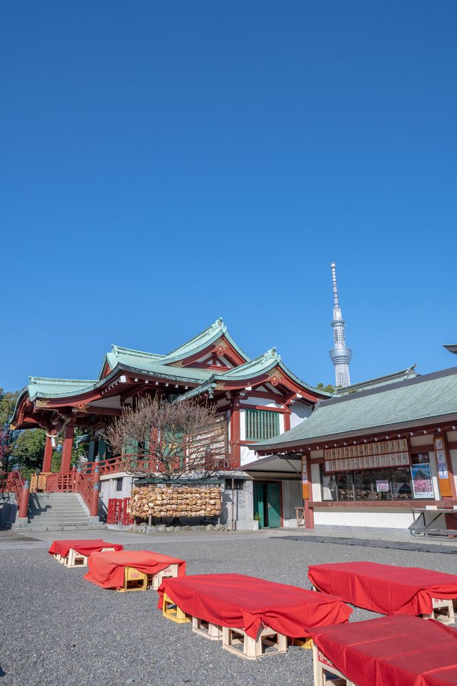 亀戸天神社(亀戸天満宮)の画像 - 5枚目