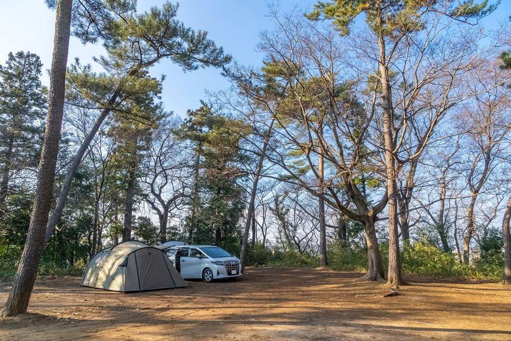 清水公園キャンプ場の画像 - 2枚目