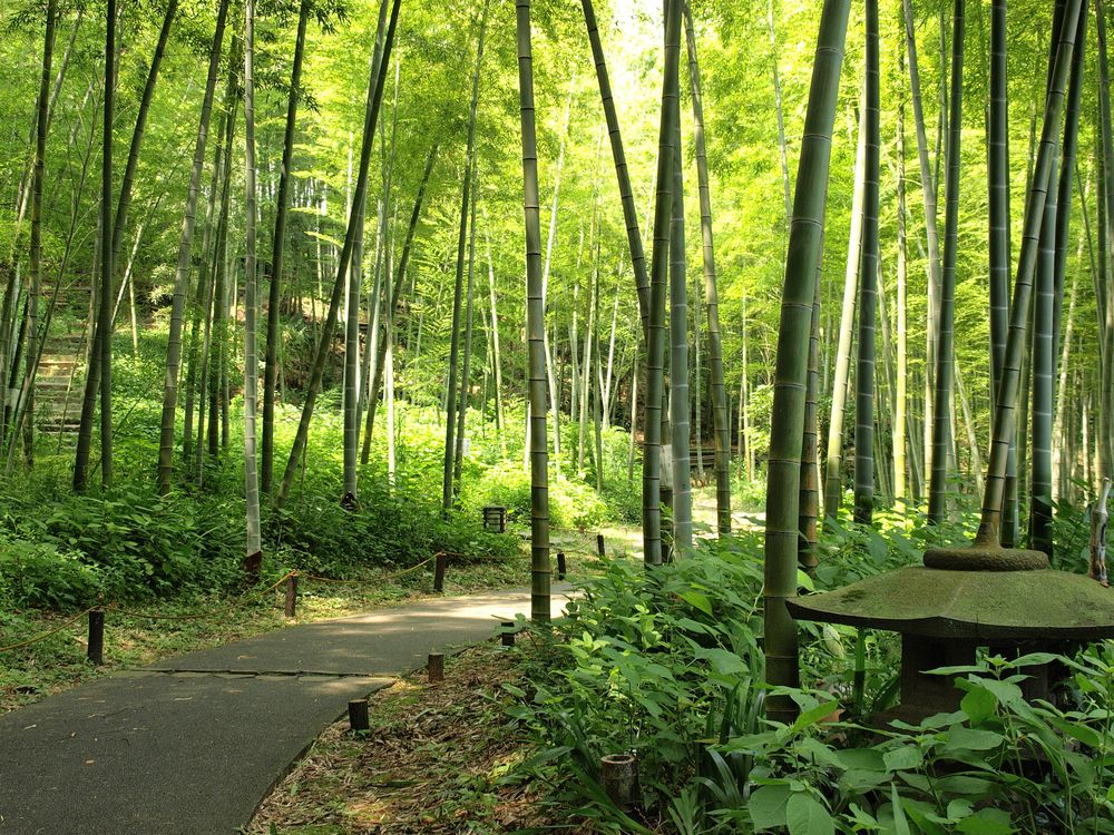荒井城址公園の画像 - 3枚目