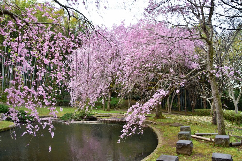 荒井城址公園の画像 - 4枚目