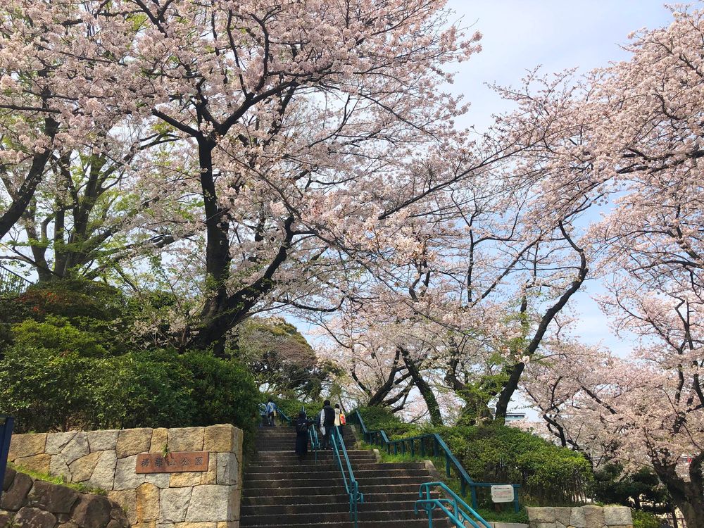 掃部山公園の画像 - 5枚目