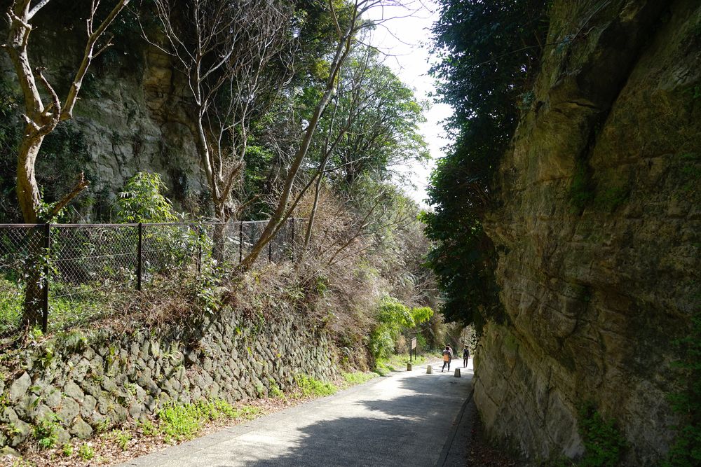 亀ケ谷坂切通