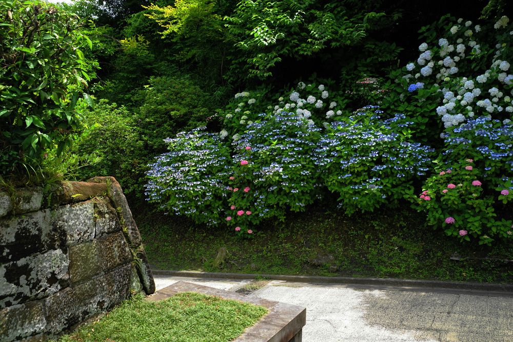 亀ケ谷坂切通の画像 - 2枚目