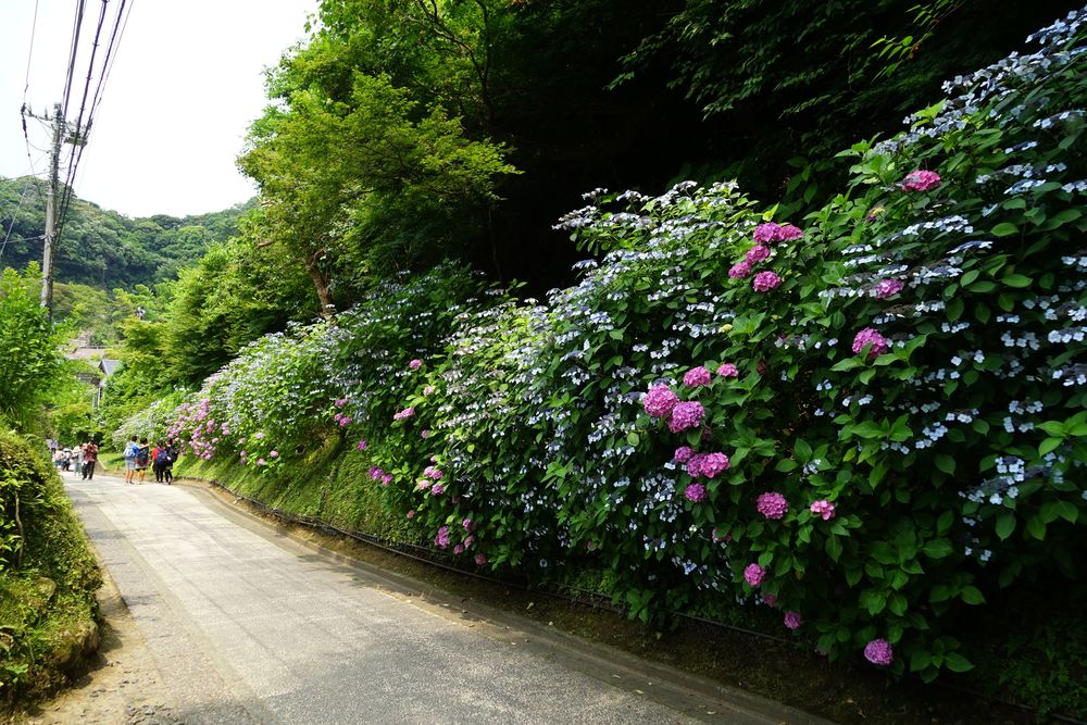 亀ケ谷坂切通の画像 - 3枚目