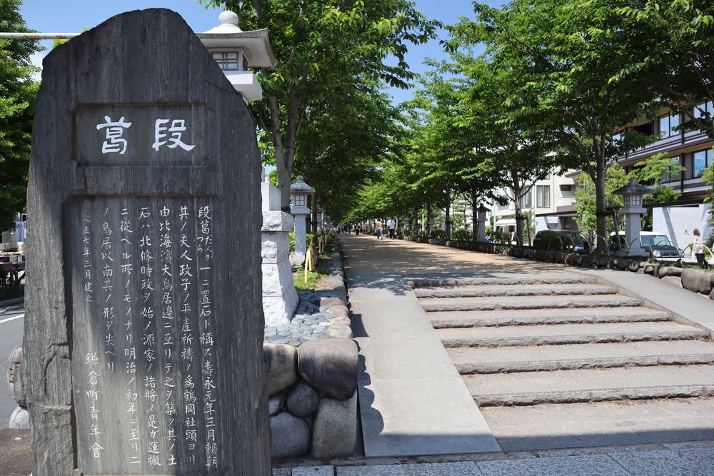 段葛の画像 - 5枚目