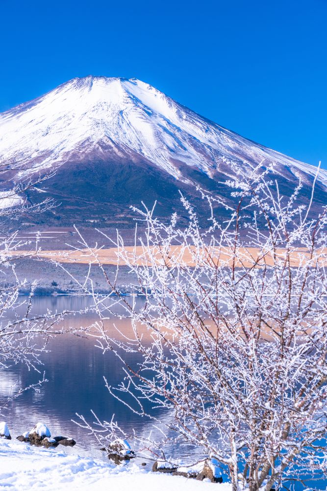 山中湖の画像 - 3枚目
