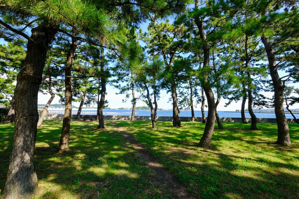 野島公園の画像 - 3枚目