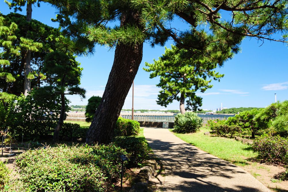 野島公園の画像 - 5枚目