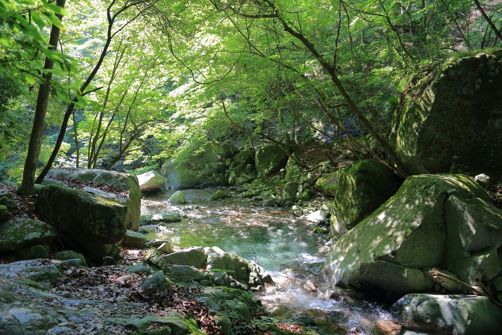 神奈川県立西丹沢ビジターセンターの画像 - 3枚目