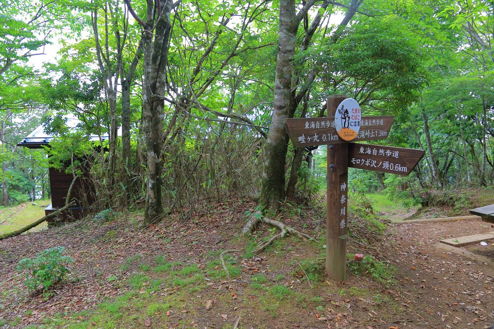 神奈川県立西丹沢ビジターセンターの画像 - 4枚目