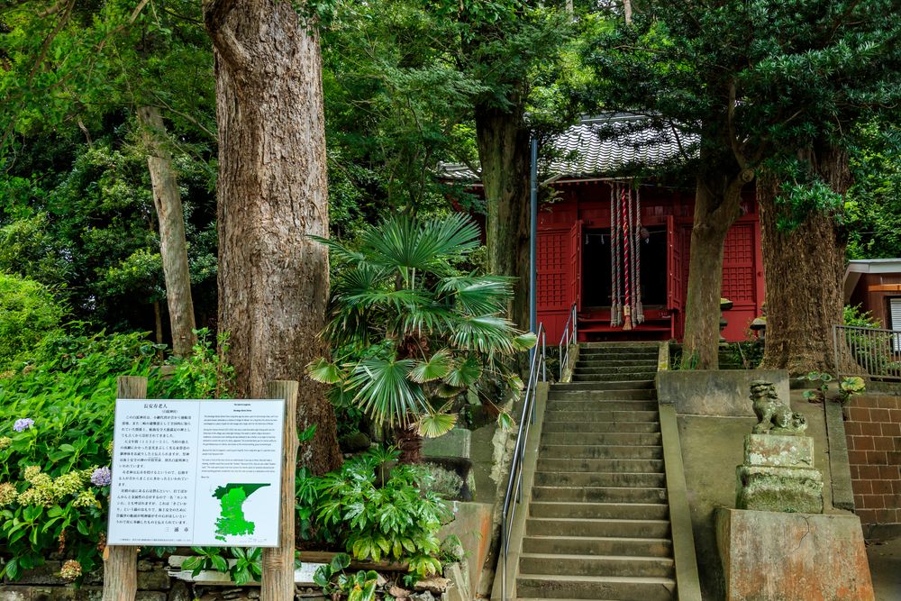 白髭神社の画像 - 2枚目