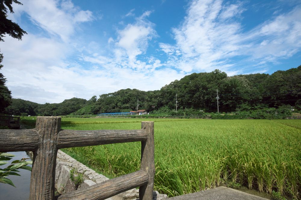 寺家ふるさと村の画像 - 2枚目