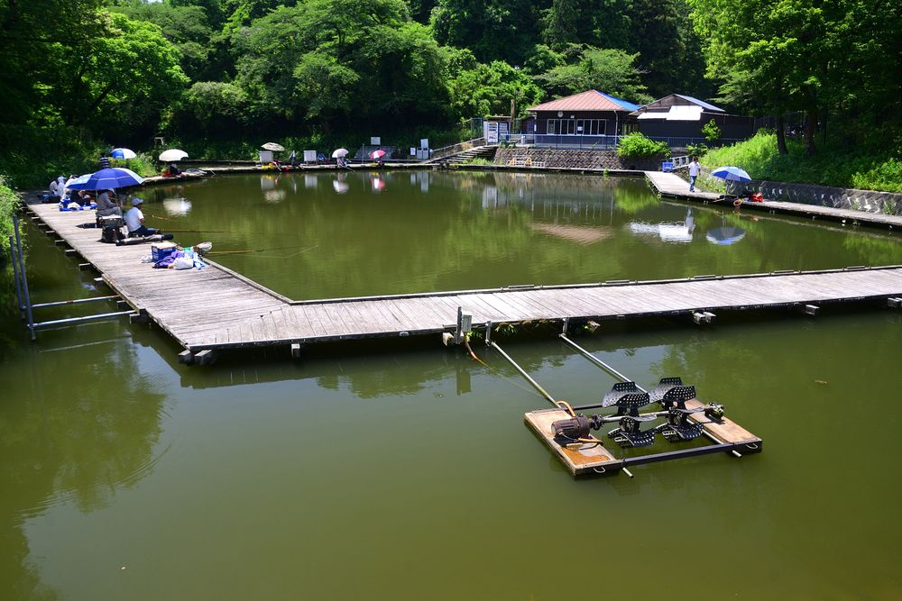 寺家ふるさと村の画像 - 5枚目