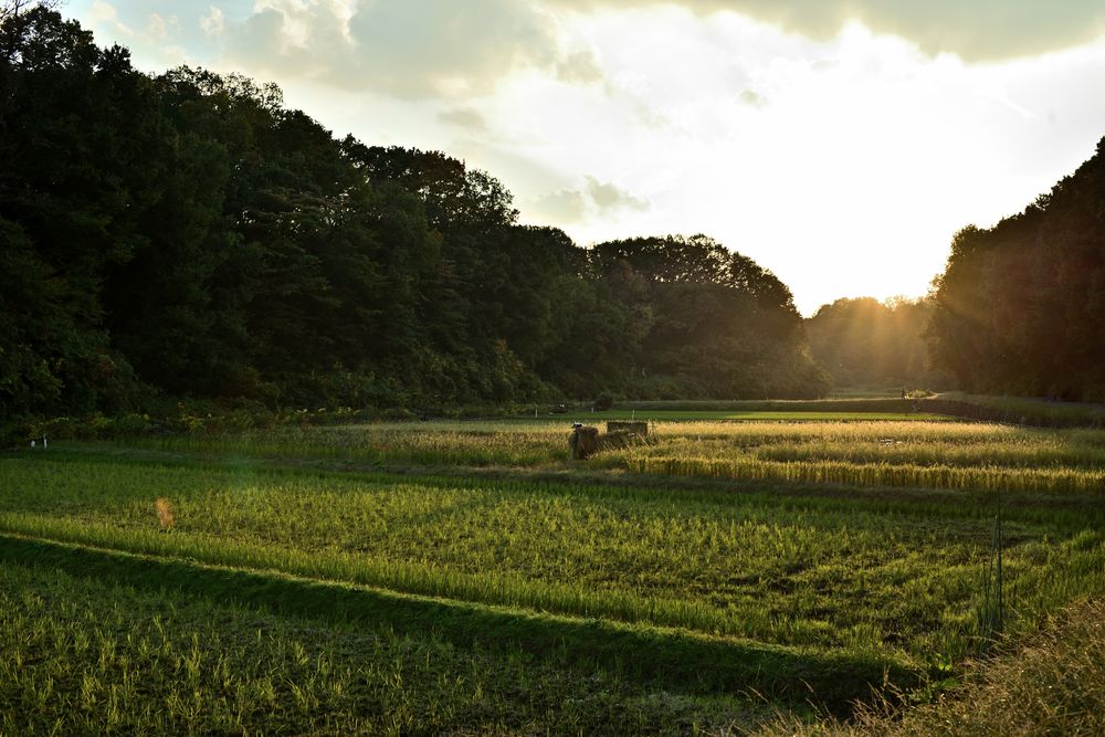 寺家ふるさと村