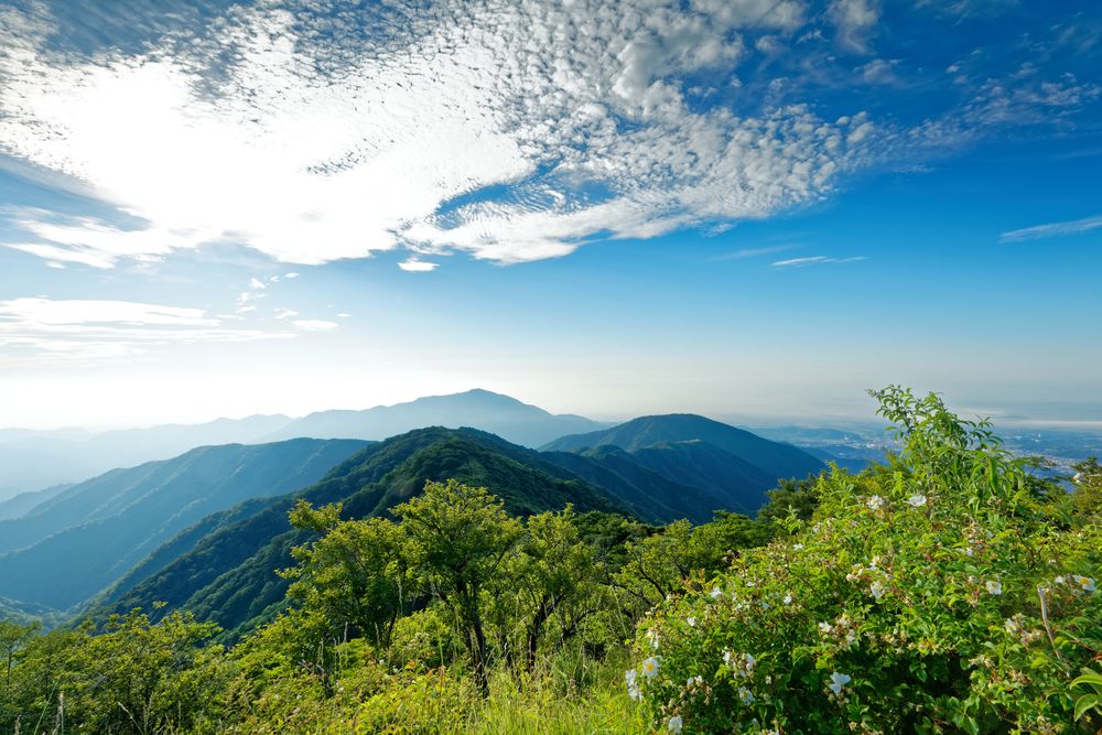 塔ノ岳の画像 - 2枚目