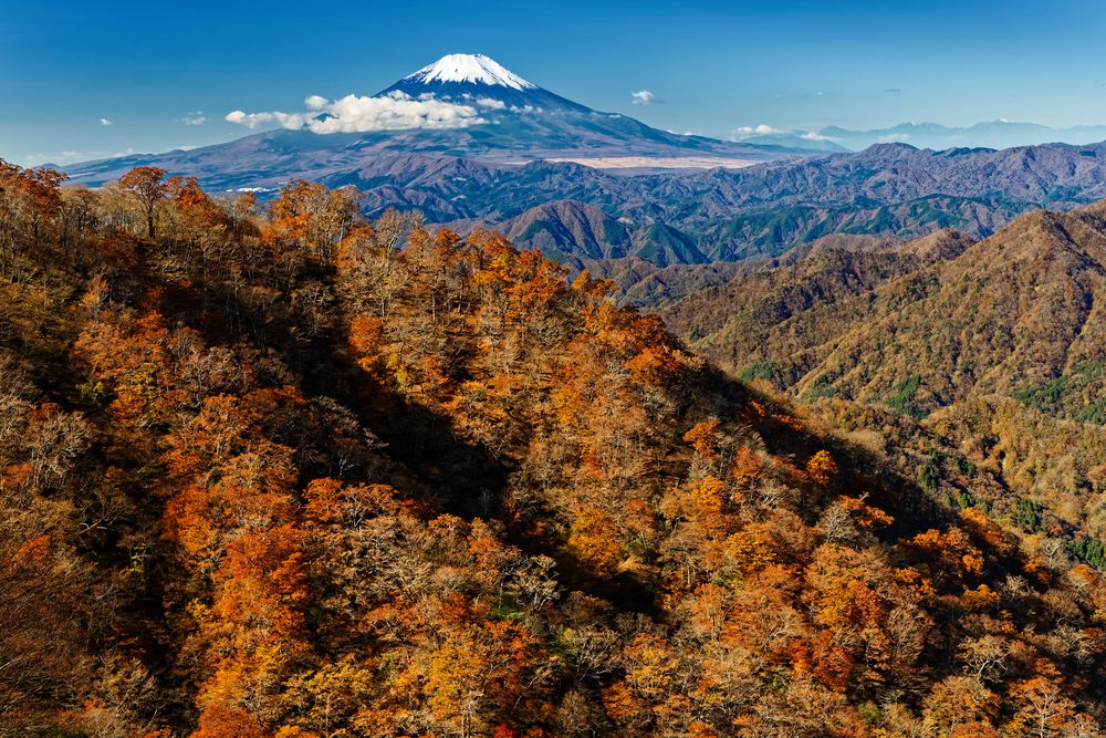 塔ノ岳の画像 - 3枚目