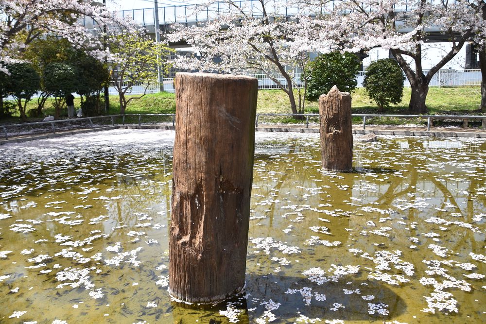 旧相模川橋脚の画像 - 3枚目