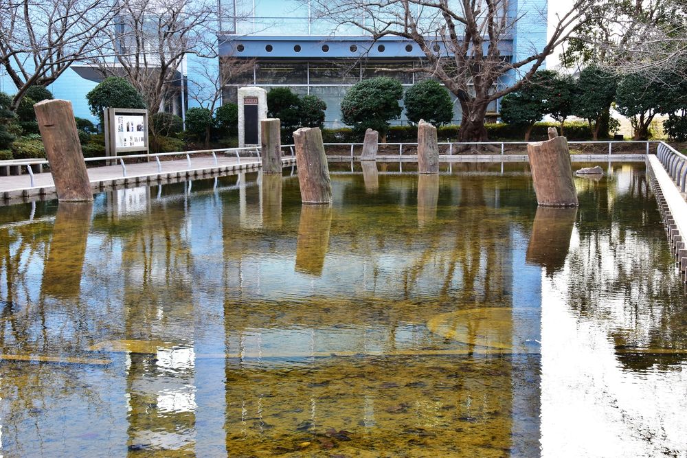旧相模川橋脚の画像 - 4枚目