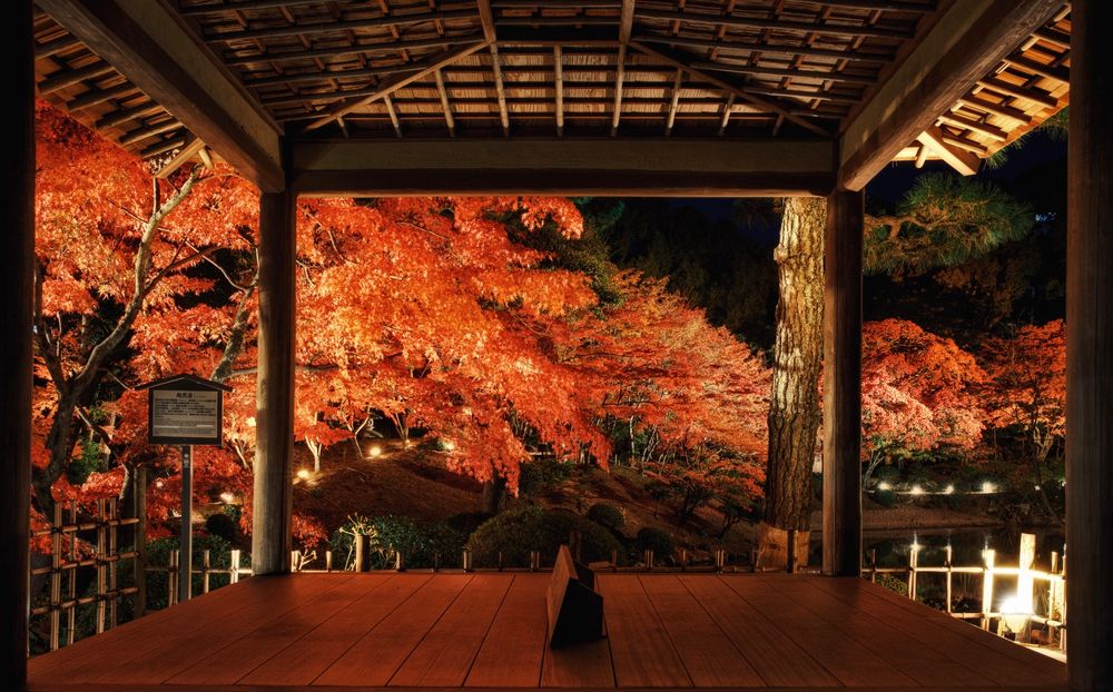 縮景園の画像 - 2枚目