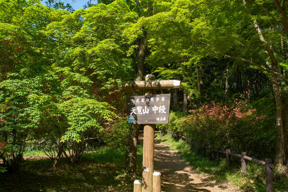 天覧山の画像 - 2枚目