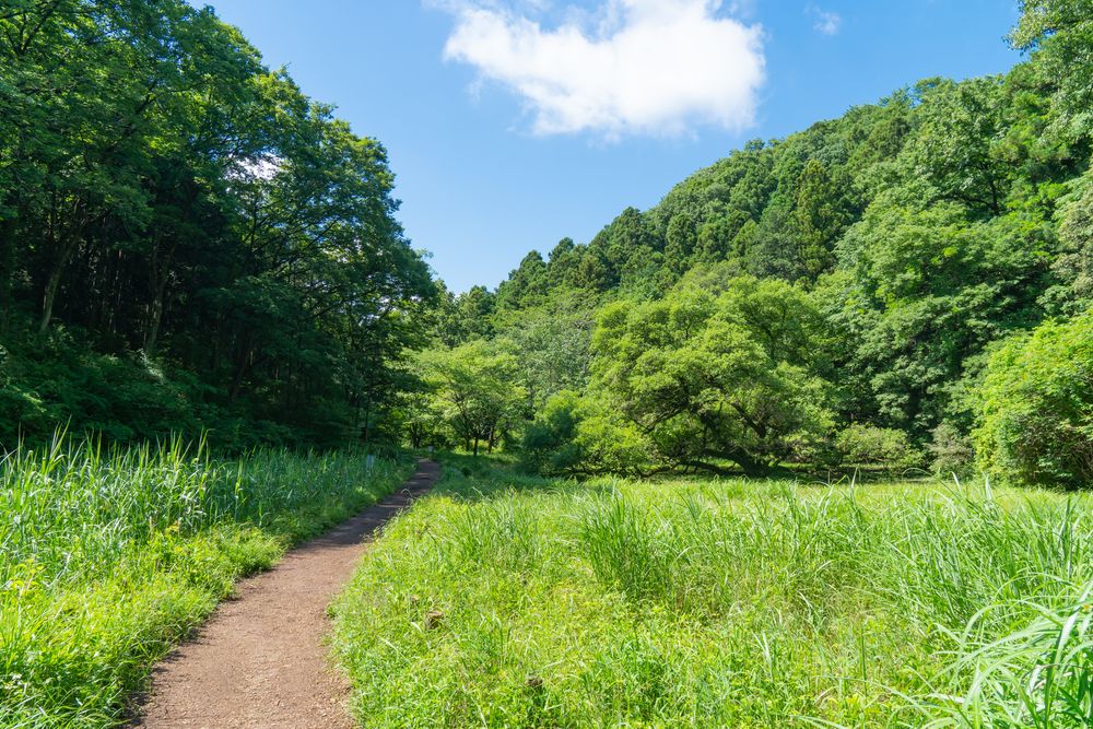 天覧山の画像 - 4枚目