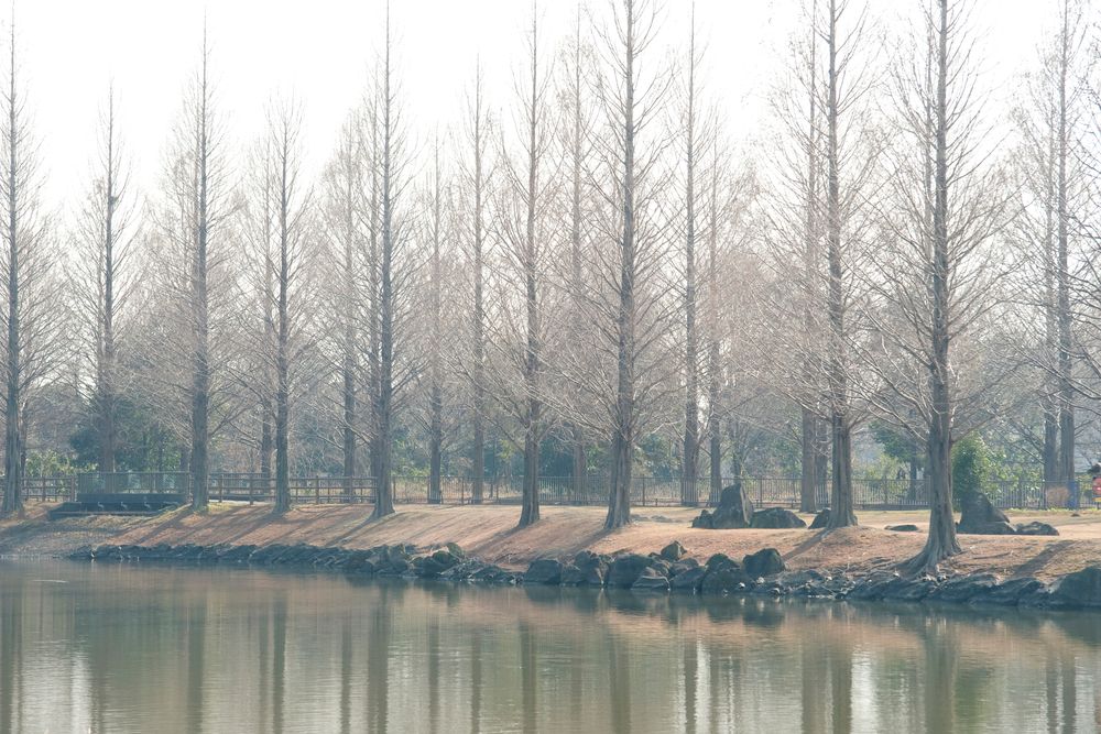 加須はなさき公園の画像 - 2枚目