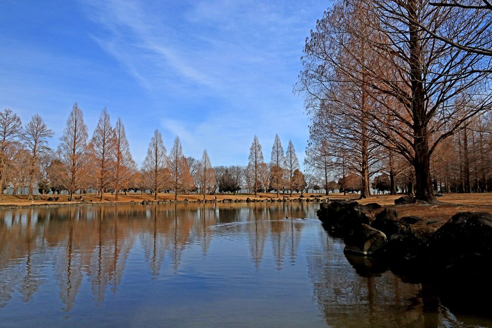 加須はなさき公園の画像 - 4枚目