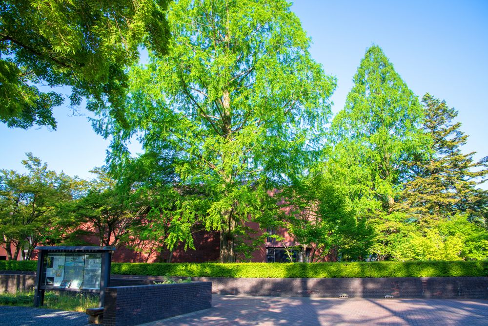 埼玉県立自然の博物館の画像 - 3枚目