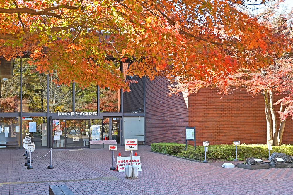 埼玉県立自然の博物館の画像 - 4枚目