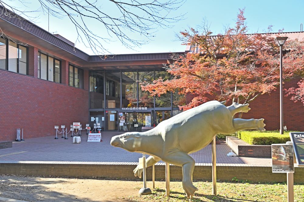 埼玉県立自然の博物館