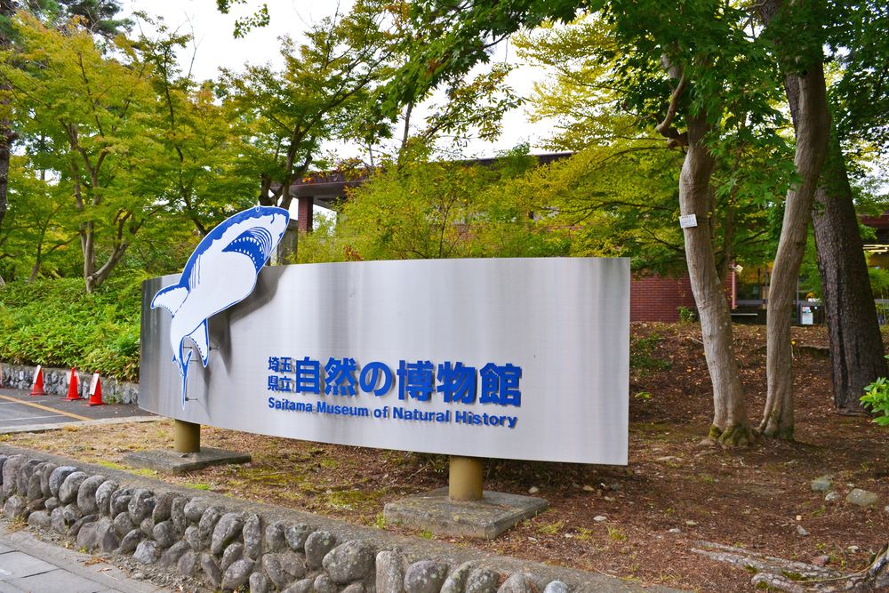 埼玉県立自然の博物館の画像 - 5枚目
