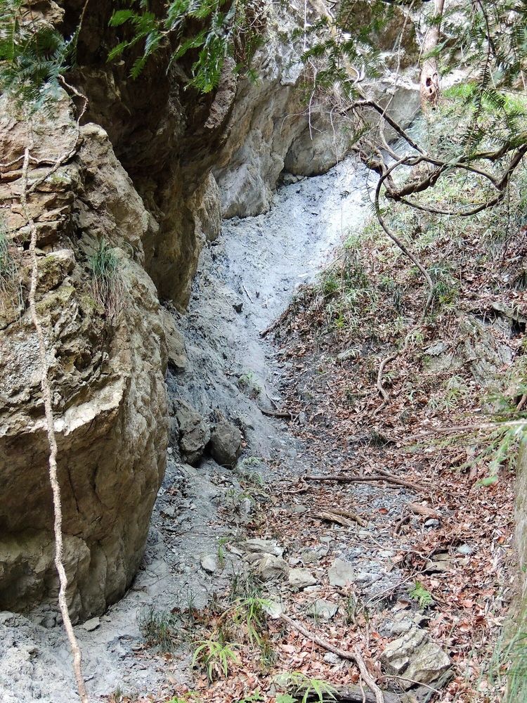 和銅採掘遺跡の画像 - 2枚目