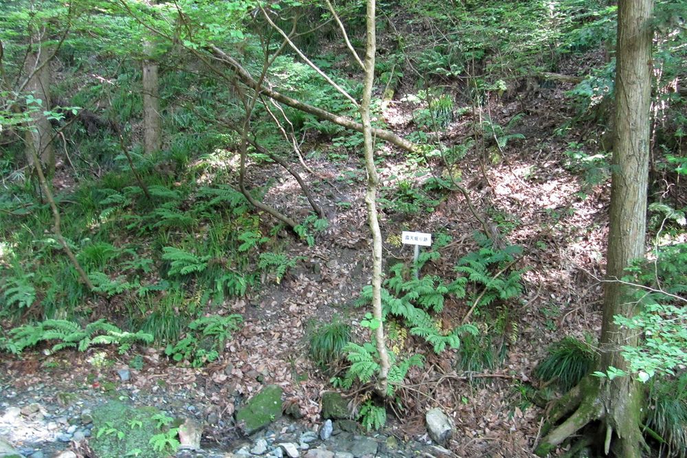和銅採掘遺跡の画像 - 3枚目