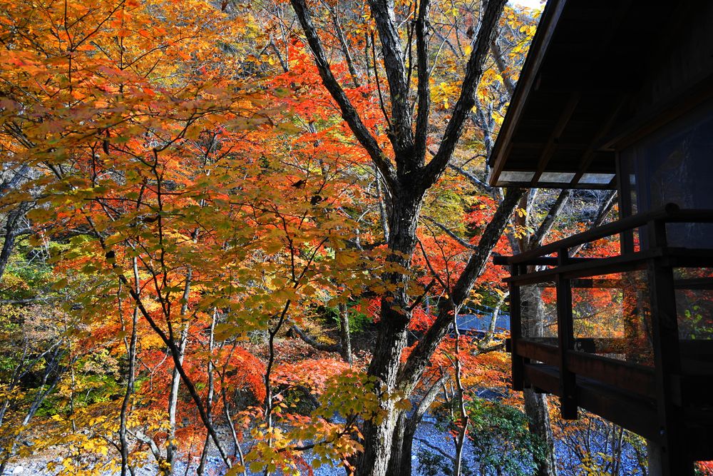 中津川村キャンプ場の画像 - 2枚目