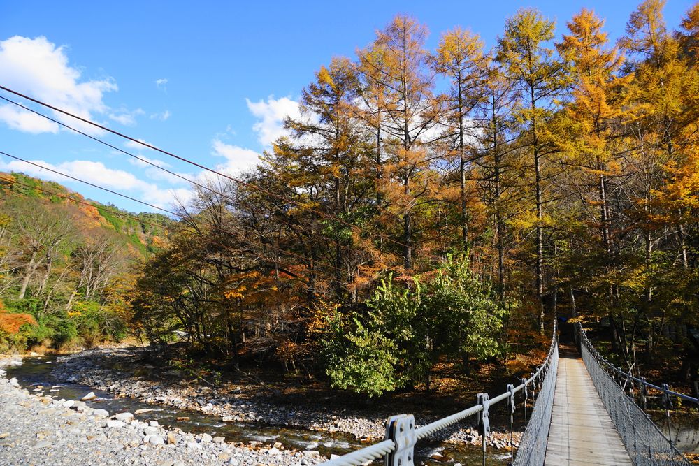 中津川村キャンプ場の画像 - 4枚目