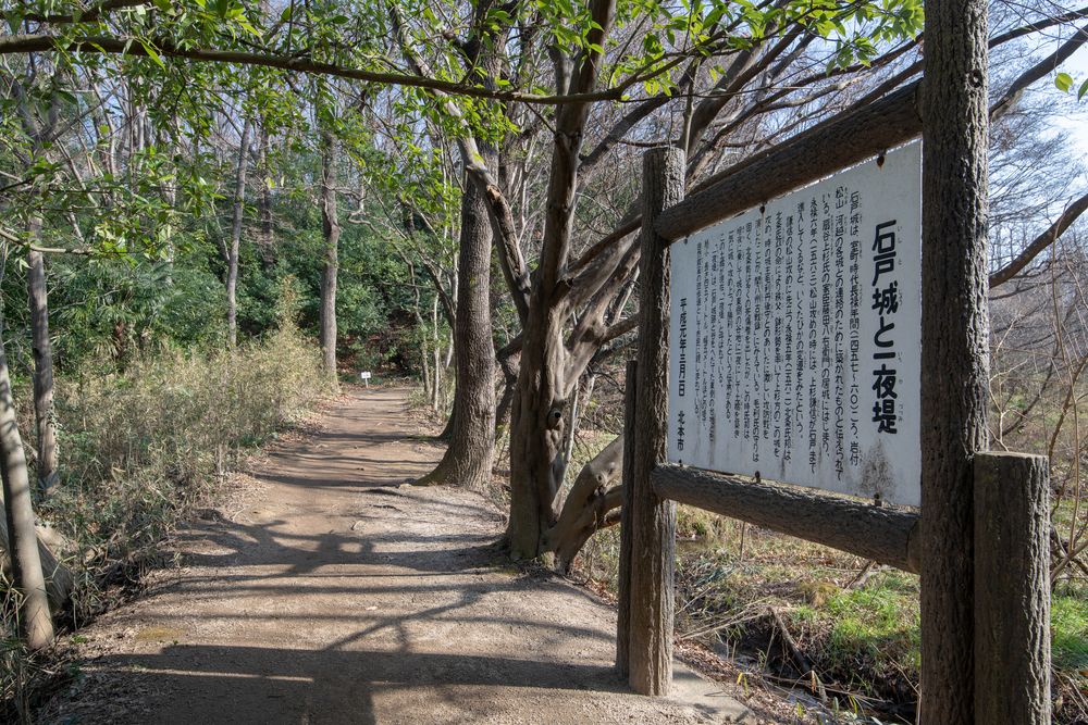北本自然観察公園の画像 - 3枚目