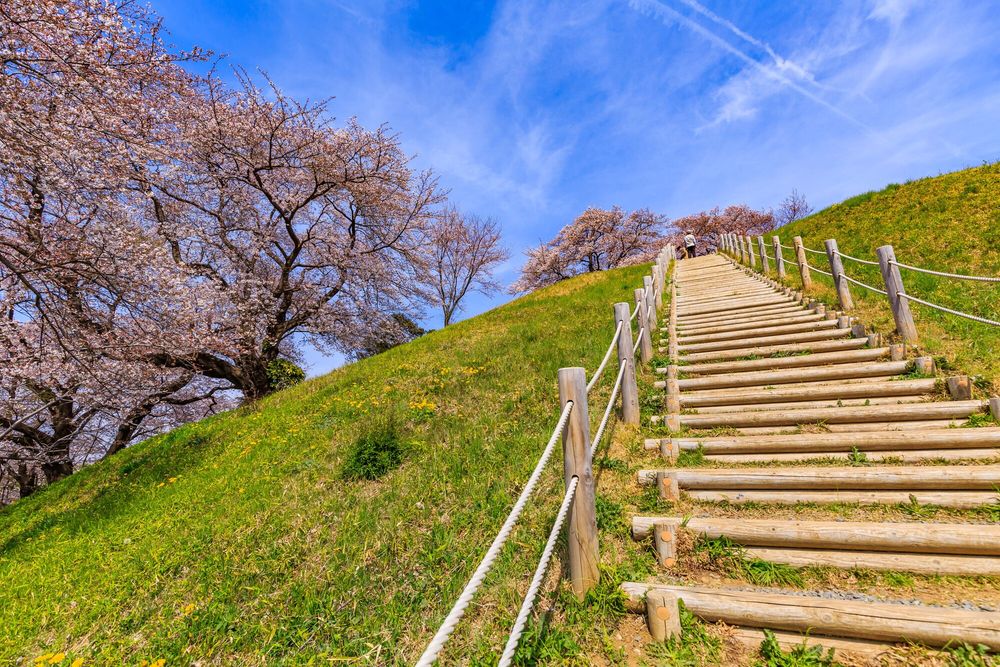 稲荷山古墳の画像 - 4枚目