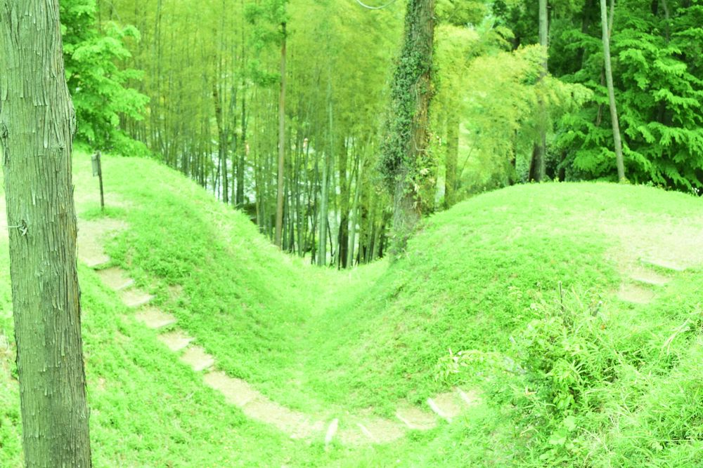 杉山城跡の画像 - 3枚目