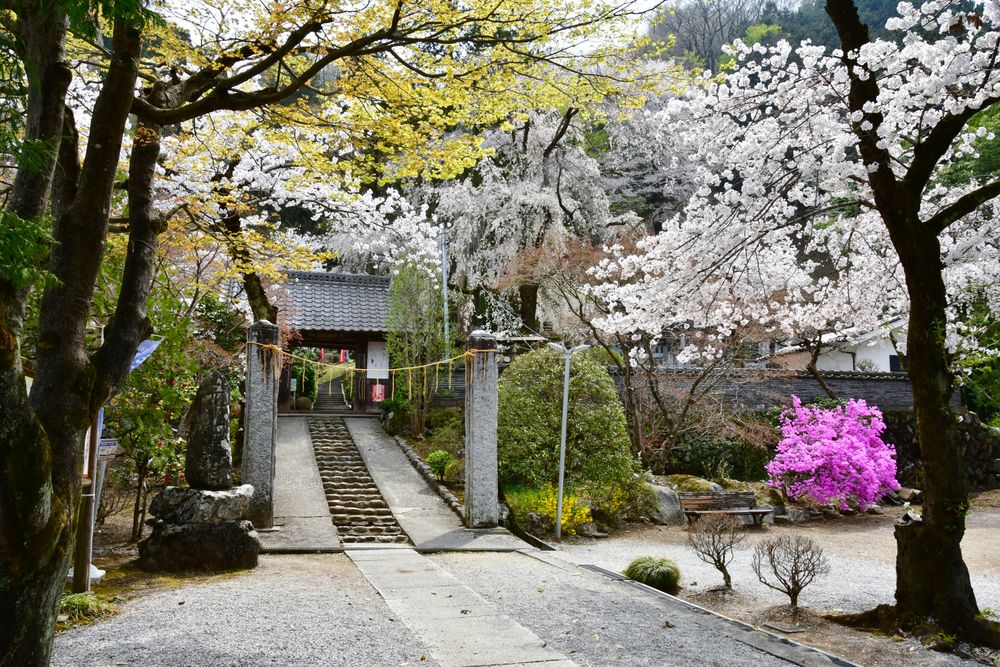 秩父札所二十七番 龍河山 大渕寺の画像 - 2枚目