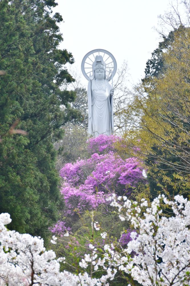 秩父札所二十七番 龍河山 大渕寺の画像 - 3枚目