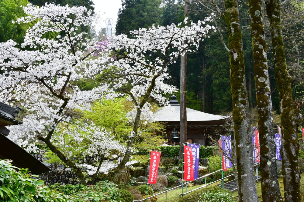 秩父札所二十七番 龍河山 大渕寺の画像 - 4枚目
