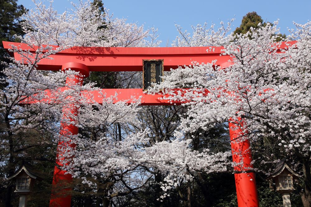 冠稲荷神社の画像 - 3枚目