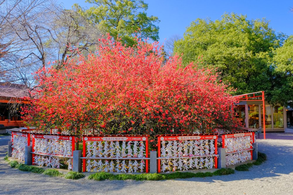 冠稲荷神社の画像 - 5枚目