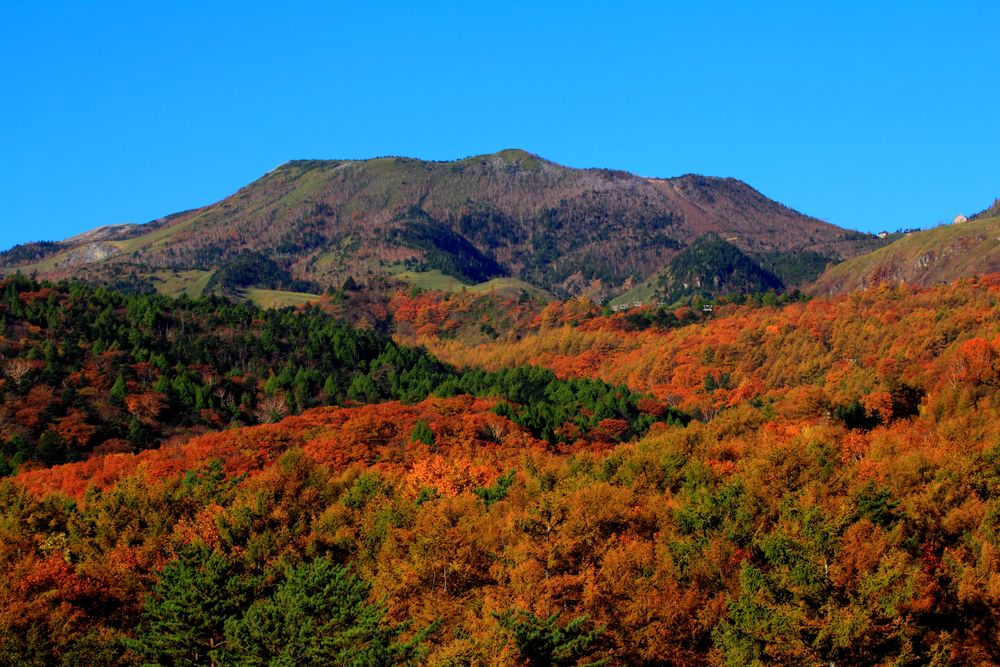 本白根山の画像 - 3枚目