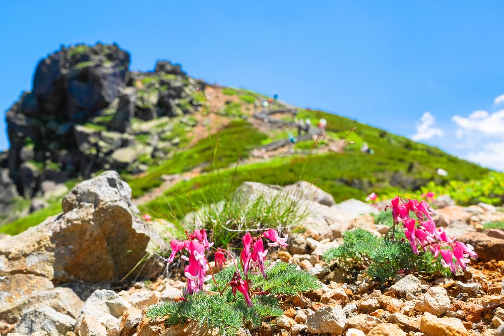 本白根山】の周辺スポット・アクセス・口コミ - Prism Japan