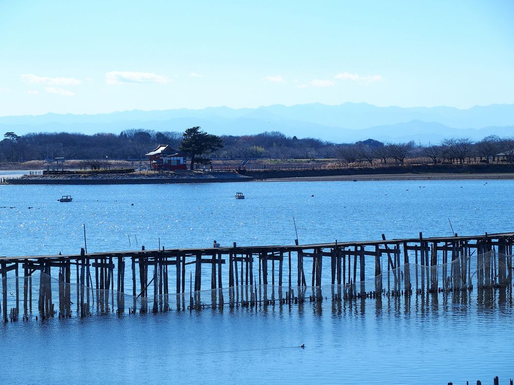 多々良沼の画像 - 6枚目