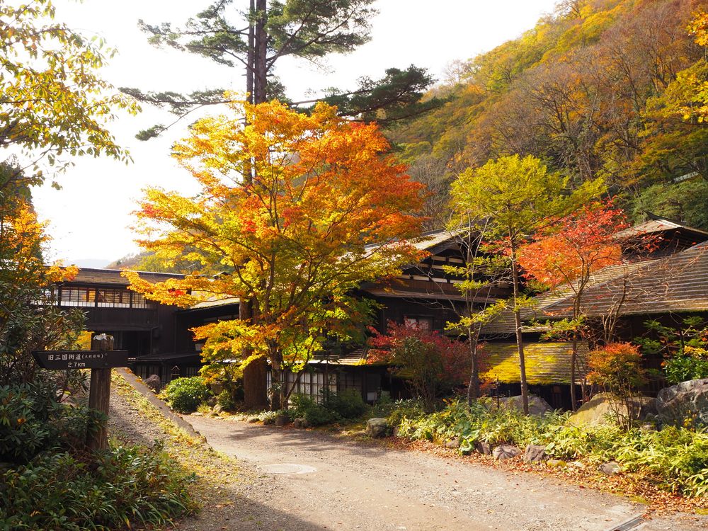 法師温泉 長寿館の画像 - 2枚目