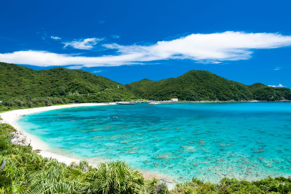 敷島 2025年 渡嘉敷島 - 出発前に知っておくべきことすべて